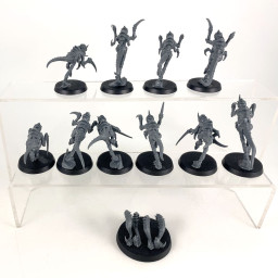 Hormagaunts + nuée voraces