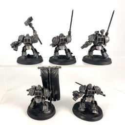 Grey Knights Paladins