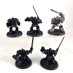 Grey Knights Paladins