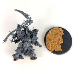 Typhus