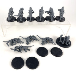 Termagants + ripper swarms