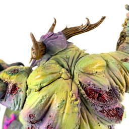 Rotigus
