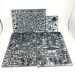 Armageddon Box FR