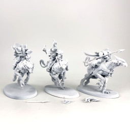 Vanguard-Palladors