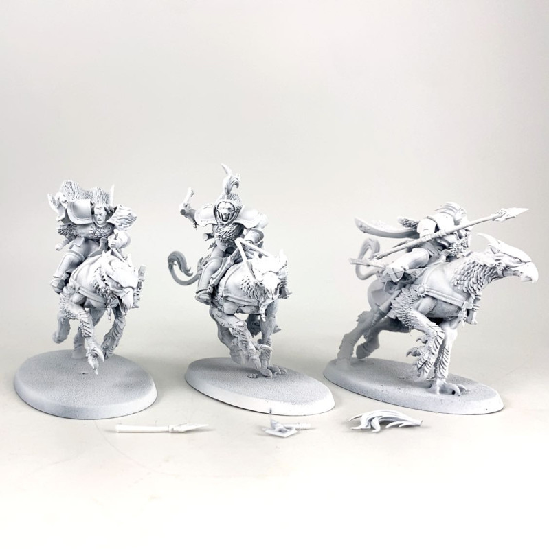 Vanguard-Palladors
