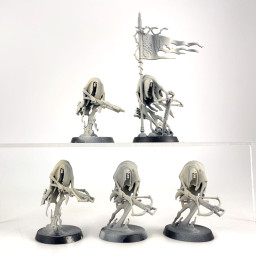 Craventhrone guards