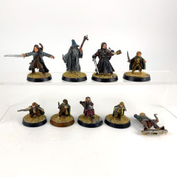The Fellowship incomplet