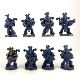 Rubric marines