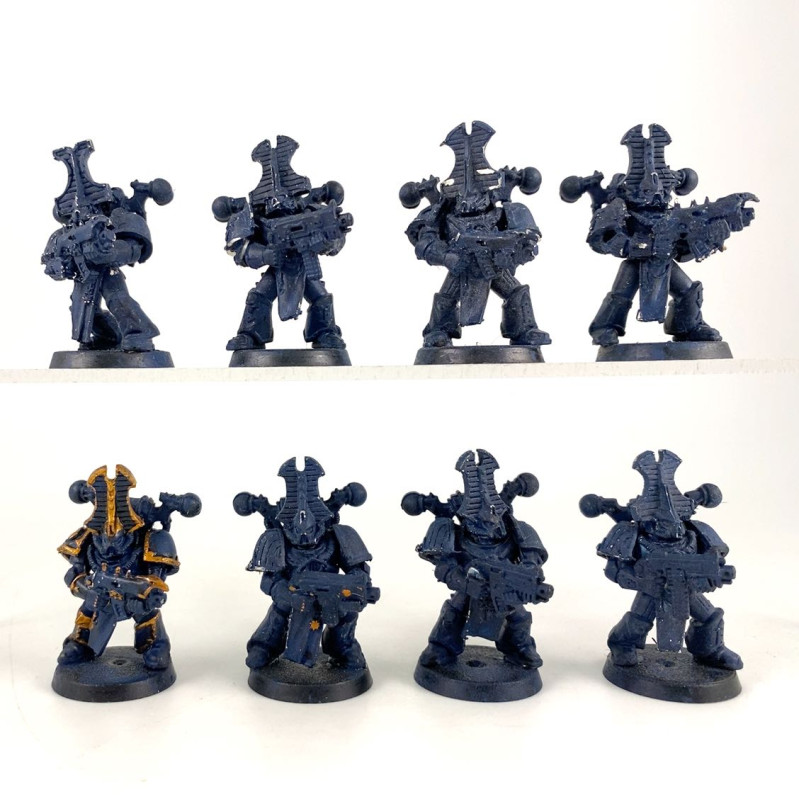 Rubric marines