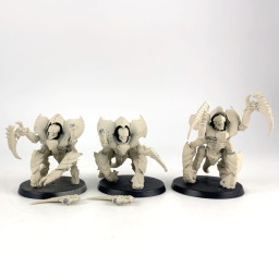 Tyrant Guards