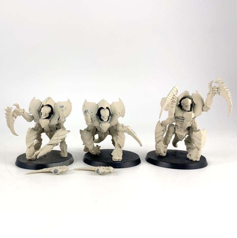 Tyrant Guards