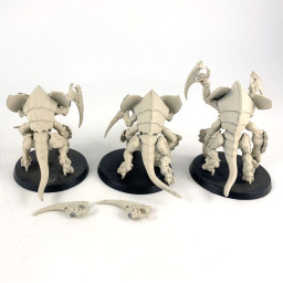 Tyrant Guards