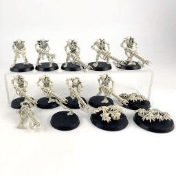 Guerriers + Scarab