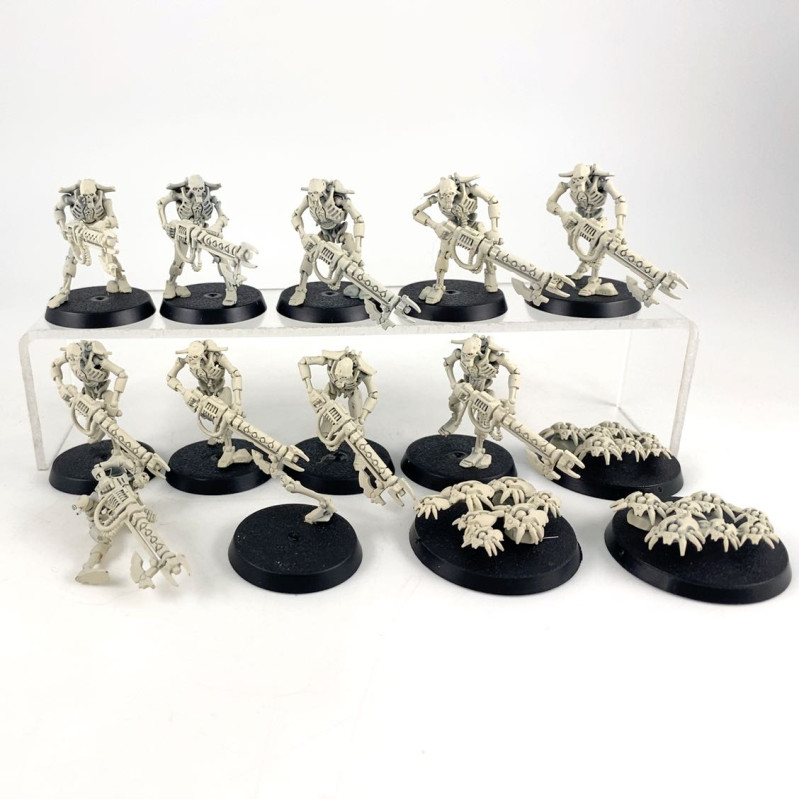 Guerriers + Scarab