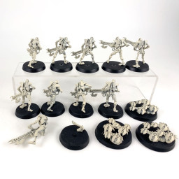 Warriors + Scarab