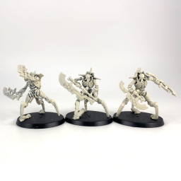 Destroyers Skorpekh