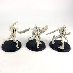 Skorpekh destroyers