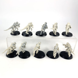 Termagant brood Old