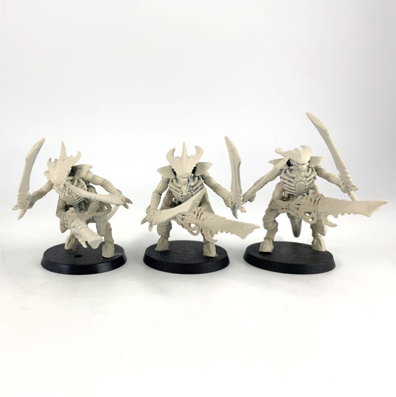 Guerriers Tyranides