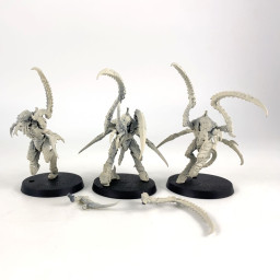Bondisseurs de Von Ryan
