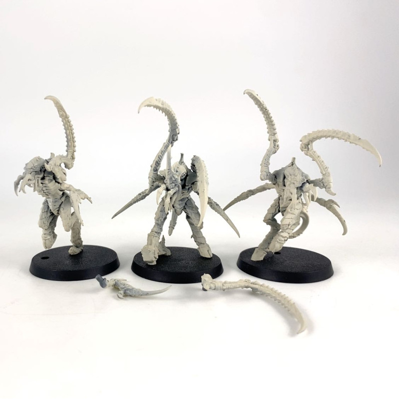 Bondisseurs de Von Ryan