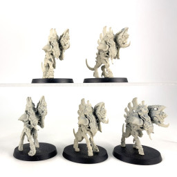 Barbgaunts