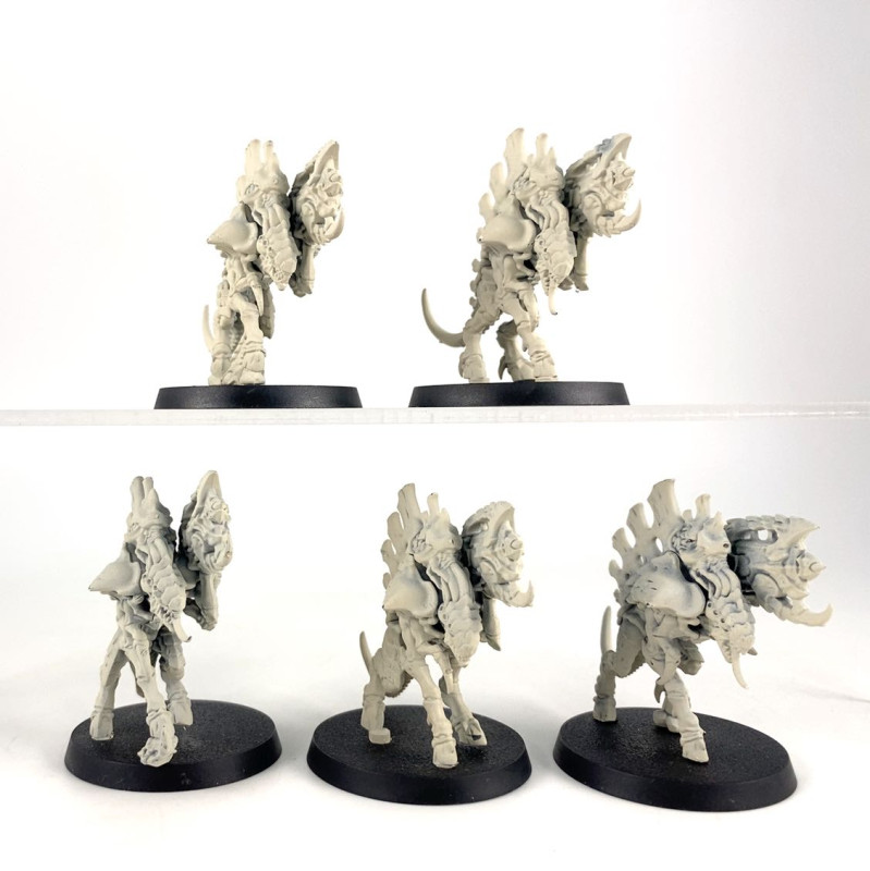 Barbgaunts