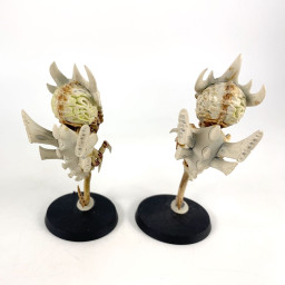 Zoanthropes