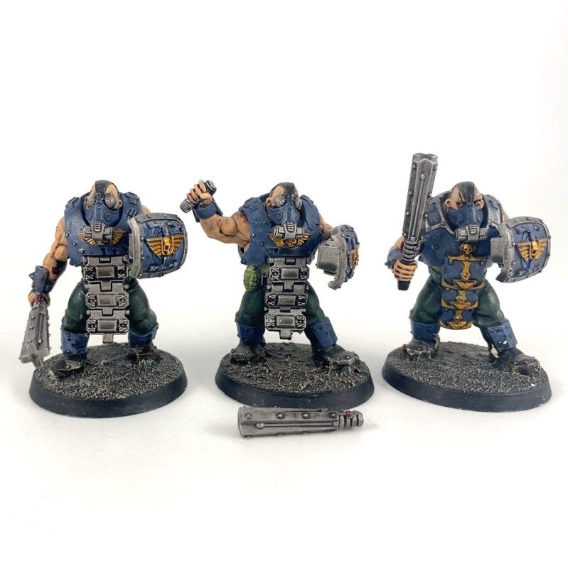 Bullgryns