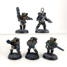 Militarum Tempestus Scions