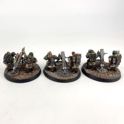 Cadian Heavy Weapon Squad