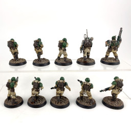 Cadian shock troups