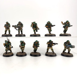 troupes de choc cadienne