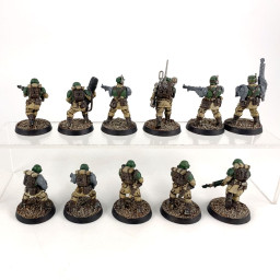 Cadian shock troups