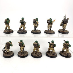 Cadian shock troups