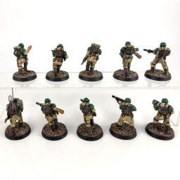 Cadian shock troups