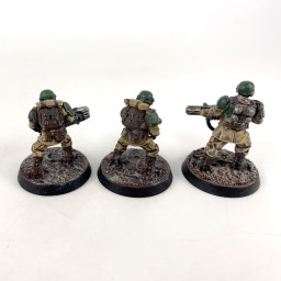 troupes de choc cadienne