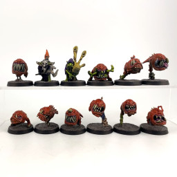 Squig Herd