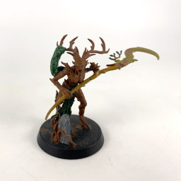 Branchwych
