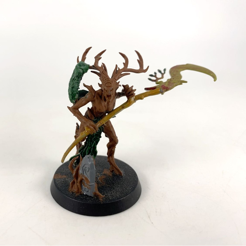 Branchwych