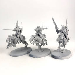 Serberys Raiders/Serberys...