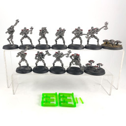 Guerriers + Scarabés Ancien