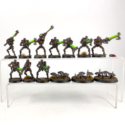 Warriors + Scarab Old