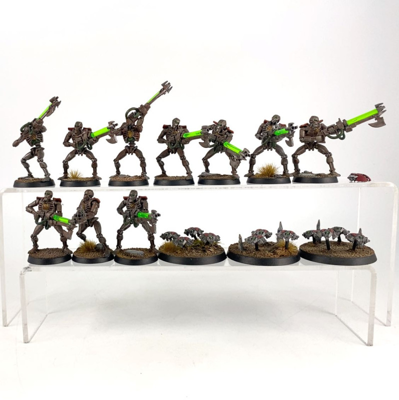Warriors + Scarab Old