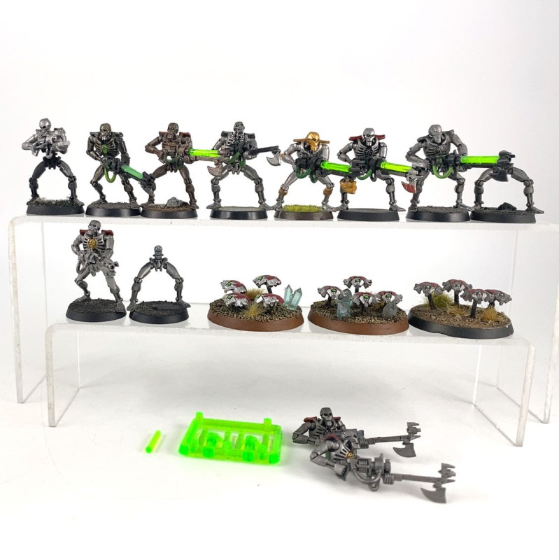 Guerriers + Scarabés Ancien