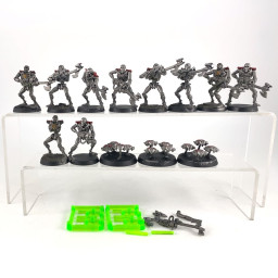 Warriors + Scarab Old