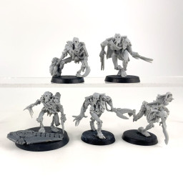 Flayed ones