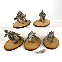 Wild wargs / fell wargs