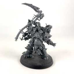 Typhus
