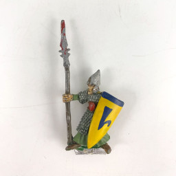 High Elf Warriors